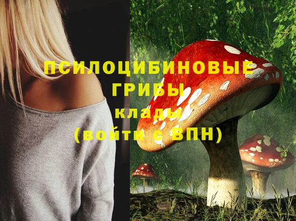 соль ск Белокуриха