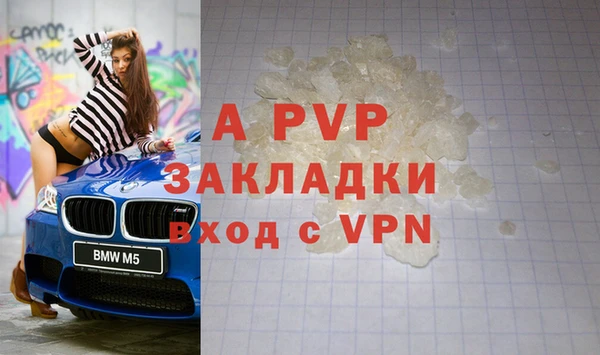 СК Беломорск