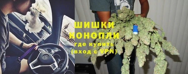 соль ск Белокуриха