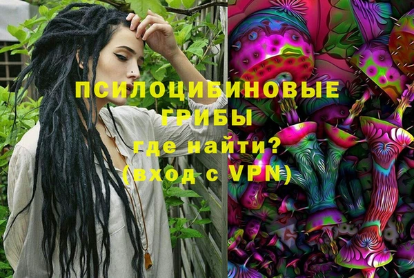 соль ск Белокуриха