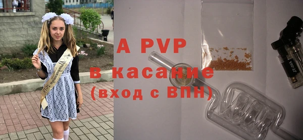 СК Беломорск