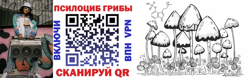 Псилоцибиновые грибы Cubensis  Буйнакск 